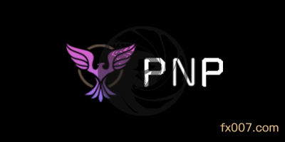 PNP Markets