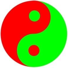 韭菲特