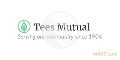 TeesMutual外汇怎么样_TeesMutual官网