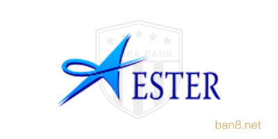 EsterHoldings外汇交易平台有哪些