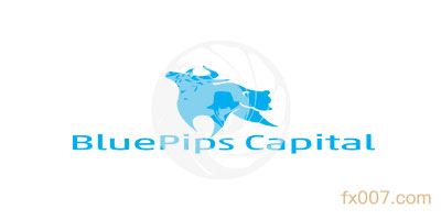 BluePips外汇平台怎么样？