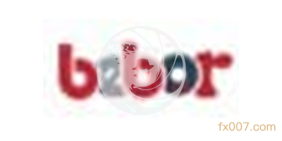 Bebor外汇为什么会被选择