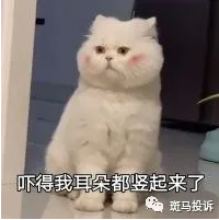 蚂蚁达客平台,以“杀猪盘”模式欺骗用户资金!