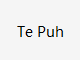 TePuh外汇正规吗