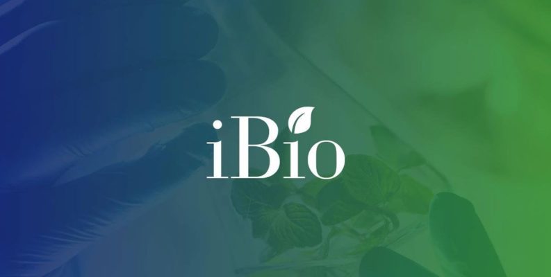 IBIOINC的股票集会成功地展示了COVID-19疫苗研究结果