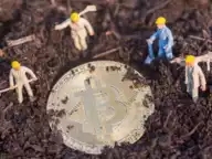 CPTMarkets资讯：欧易OKEx研究院「庶民的盛宴」Chia挖矿全解析