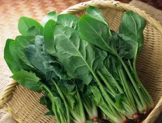 高汇:为什么1300斤菠菜只卖15元