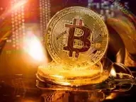 Capstone凯石资讯：以太坊市值与比特币市值之比在过去一年增加一倍