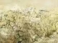 Capstone凯石资讯:要用发展眼光看待市场回调