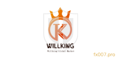 维经全球Willking