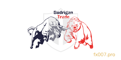 BudriganTrade
