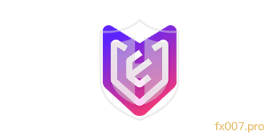 V Element Partner