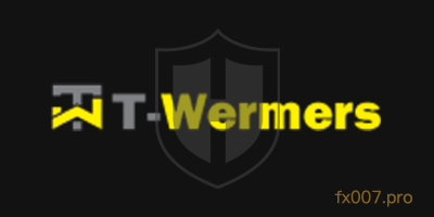 T-Wermers外汇监管合规吗?出入金顺利吗?