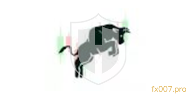 BullsBrokers外汇监管合规吗？出入金顺利吗？