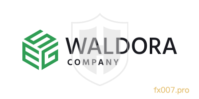 Waldora外汇监管合规吗？出入金顺利吗？