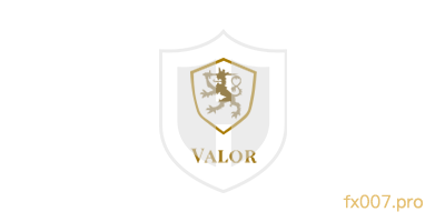 ValorFX外汇监管合规吗？出入金顺利吗？