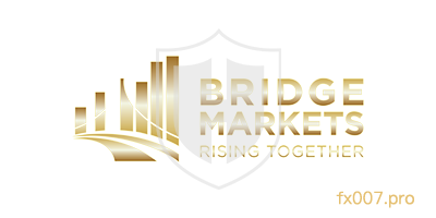 BridgeMarkets外汇监管合规吗？出入金顺利吗？