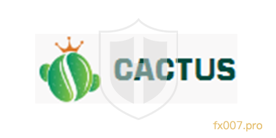Cactus外汇监管合规吗?出入金顺利吗?