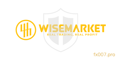 WiseMarket外汇监管合规吗?出入金顺利吗?