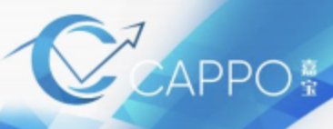 CAPPO嘉宝集团外汇监管合规吗？出入金顺利吗？