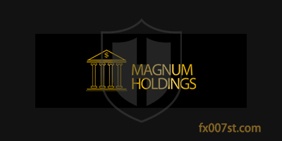 Magnum Holdings