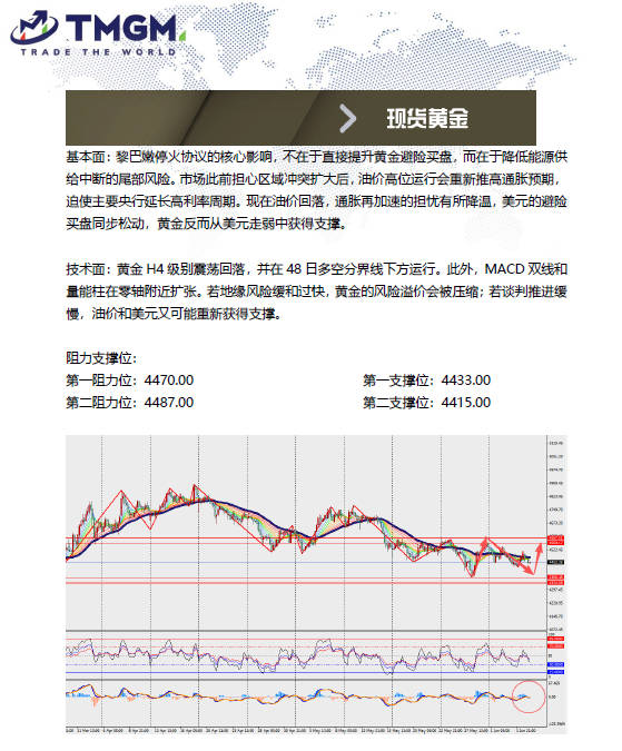 动态配图