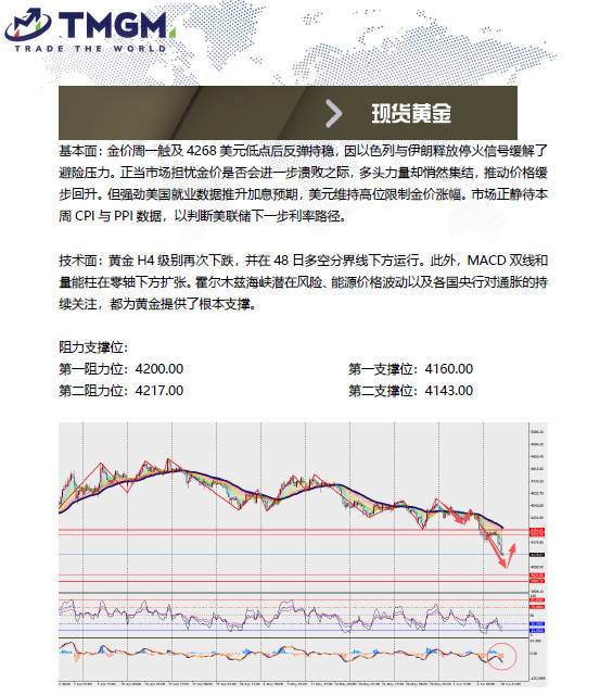 动态配图
