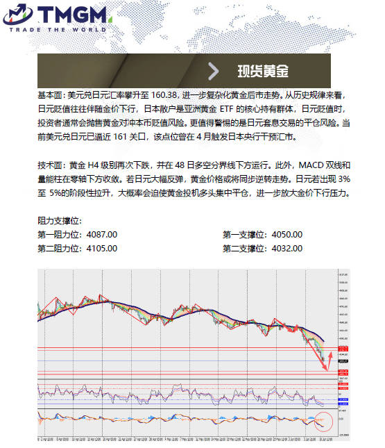 动态配图