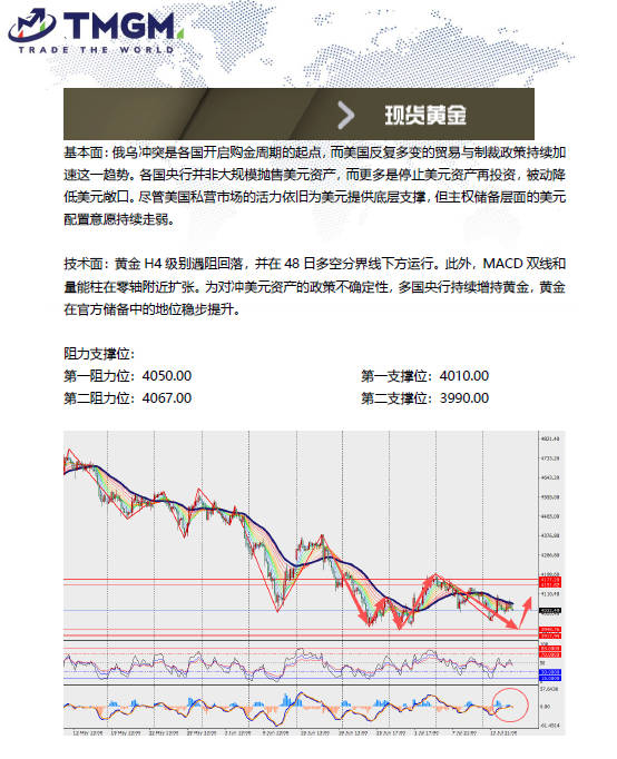动态配图