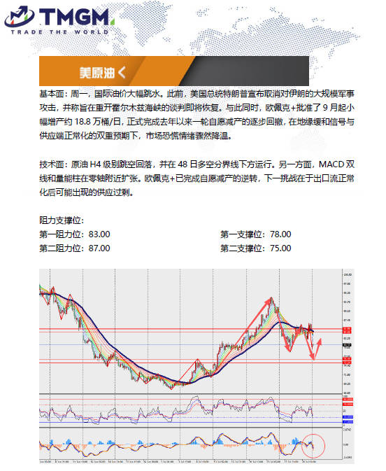 动态配图