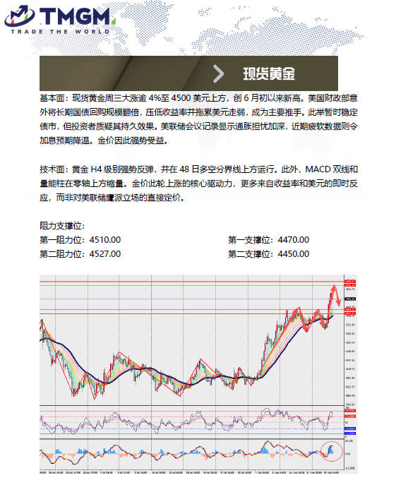 动态配图