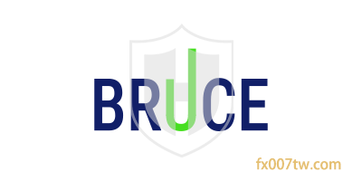 BruceMarkets外汇监管合规吗？出入金顺利吗？