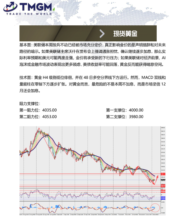 动态配图